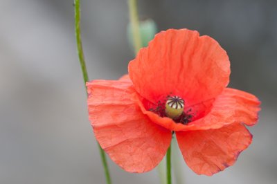 Spéciale dédicace_4792639688_l.jpg